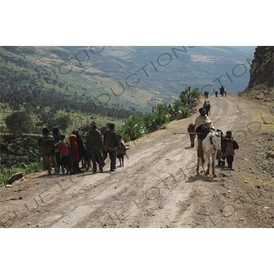 Road in Simien Mountains National Park