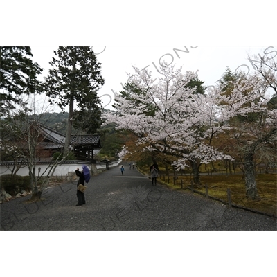 Nanzen-ji Grounds in Kyoto