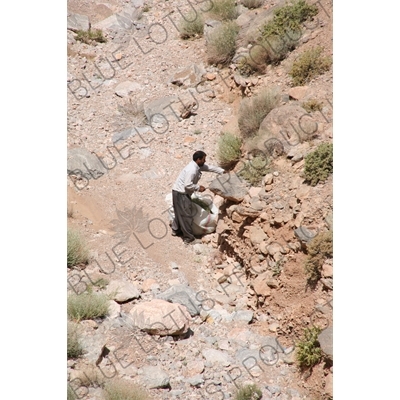 Man Collecting Grass near Chak Chak Temple near Yazd