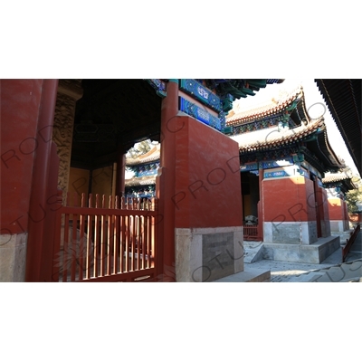 Stone Tablet Housing Pavilions (Beiting) in the Confucius Temple in Beijing