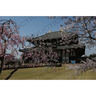 Big Buddha Hall (Daibutsuden) of Todaiji in Nara