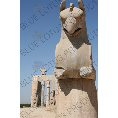 Double Headed Griffin Protome Capital at Persepolis