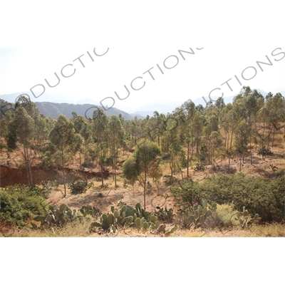 Countryside along the Asmara to Massawa Steam Railway Line