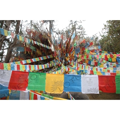 Buddhist Prayer Flags near Shangri-La/Zhongdian (Xiang Ge Li La) City