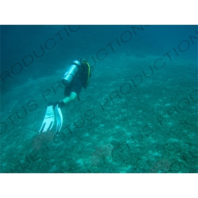 Scuba Diver off the Coast of Gili Meno