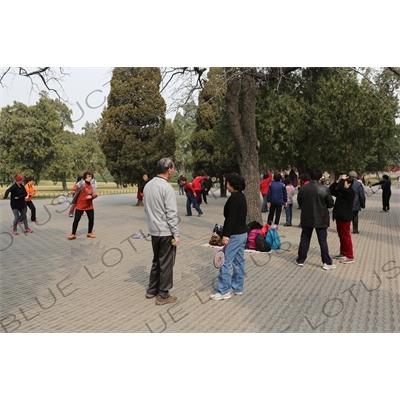 People Practising Taiji Bailong Ball/Taiji Rouli Qiu near the North Gate of the Temple of Heaven (Tiantan) in Beijin