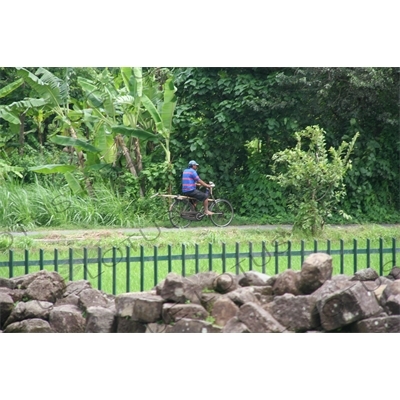 Cyclist at Prambanan Temple Compound near Yogyakarta