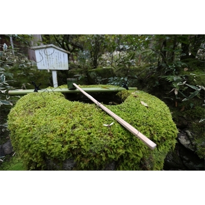 Stone Washbasin (Tsukubai) and Bamboo Water Ladle (Hishaku) in the Gardens of Koto-in in Daitoku-ji in Kyoto