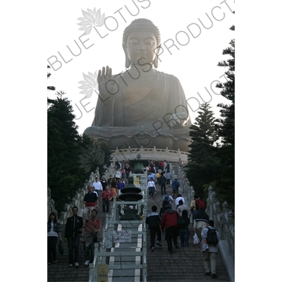 Big Buddha (Tiantan Da Fo) Statue on Lantau in Hong Kong