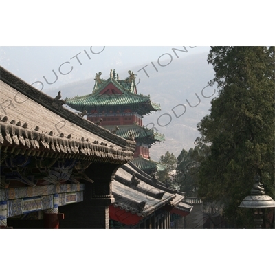 Roof Carving with Drum Tower in the Background at the Shaolin Temple in Dengfeng