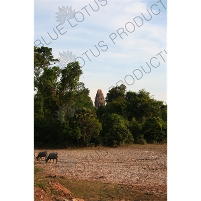 Pre Rup in Angkor Archaeological Park