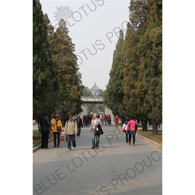 Path near the North Gate of the Temple of Heaven (Tiantan) in Beijing