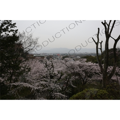 Biwako Incline and Heian Jingu Torii in Kyoto