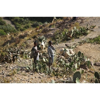 Children Playing along the Asmara to Massawa Railway Line