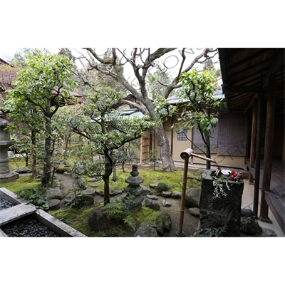 Garden in Korin-in in the Daitoku-ji Complex in Kyoto