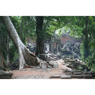 Entrance to Ta Prohm in Angkor