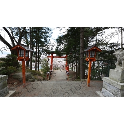 Torii at the Entrance to Arakura Sengen Shrine