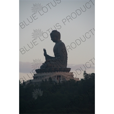 Big Buddha (Tiantan Da Fo) Statue on Lantau in Hong Kong