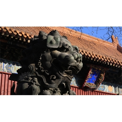 Guardian Lion Statue and the Gate of Peace and Harmony (Yonghe Men) in the Lama Temple in Beijing