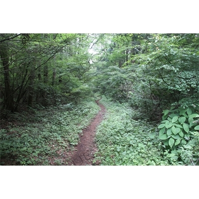 Yoshida Trail to Mount Fuji