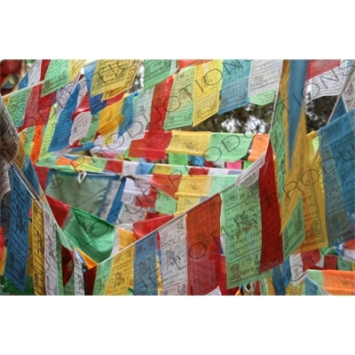 Buddhist Prayer Flags near Shangri-La/Zhongdian (Xiang Ge Li La) City