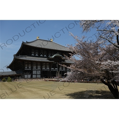 Big Buddha Hall (Daibutsuden) of Todaiji in Nara