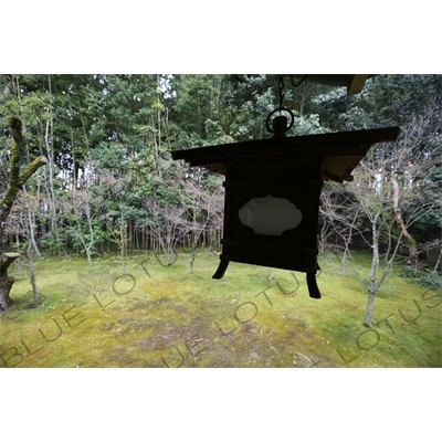 Lantern Hanging in the garden in Koto-in in Daitoku-ji in Kyoto