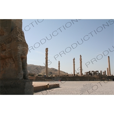 Apadana Palace at Persepolis