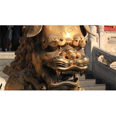 Guardian Lion Statue in front of the Gate of Heavenly Purity (Qianqing Men) in the Forbidden City in Beijing