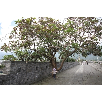 Old City wall in Dali