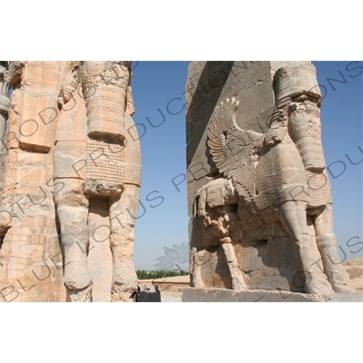 Lamassu Carvings on the Gate of All Nations at Persepolis