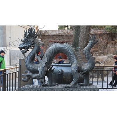Dragon Statue outside the Hall of Benevolence and Longevity (Renshoudian) in the Summer Palace in Beijing