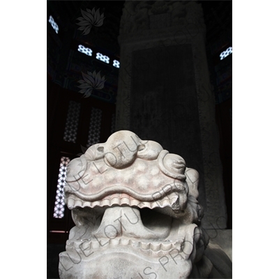 Dragon Turtle (Longgui) Statue and stele in the Lama Temple (Yonghegong) in Beijing