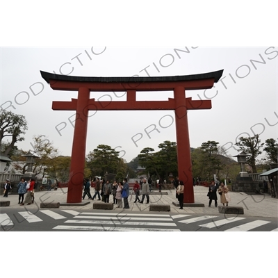 Torii Leading to Tsurugaoka Hachimangu Shrine in Kamakura