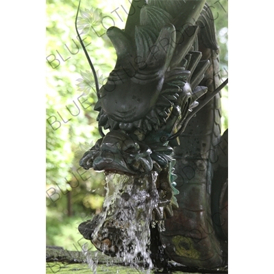 Dragon Spout Water Purification Basin (Chozubachi) in Fujiyoshida Sengen Shrine in Fujiyoshida