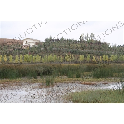 Wetlands in the Grounds of the Ganden Sumtsenling Monastery (Songzanlin Si) near Shangri-La/Zhongdian (Xiang Ge Li La) City