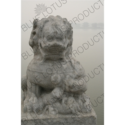 Stone Carving of a Lion on the 17 Arch Bridge (Shiqi Kong Qiao) in the Summer Palace in Beijing