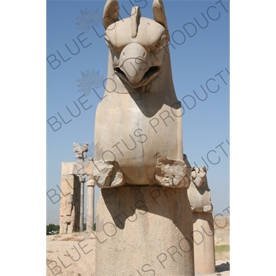 Double Headed Griffin Protome Capital at Persepolis