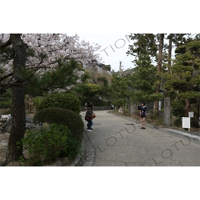 Tourists in Kencho-ji in Kamakura