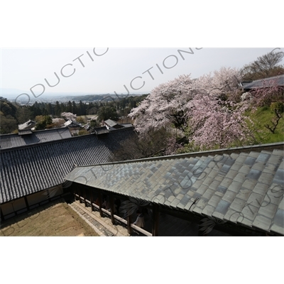 Temple Buildings in Todaiji in Nara