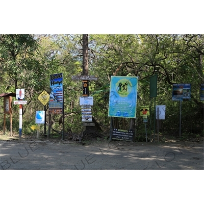 Road Leading to Playa Guiones in Nosara