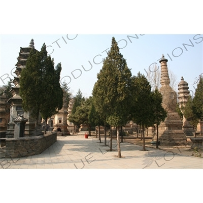 Pagoda Forest at the Shaolin Temple in Dengfeng