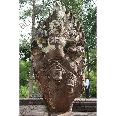 Snake Guardian Statue outside Bantea Kdei in Angkor