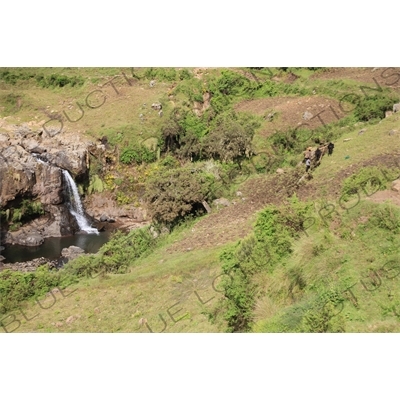 Oxen Ploughing by a Waterfall in Simien Mountains National Park