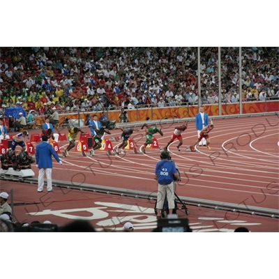 Athletes at the Start of a Men's 100 Metres Heat in the Bird's Nest/National Stadium (Niaochao/Guojia Tiyuchang) in the Olympic Park in Beijing