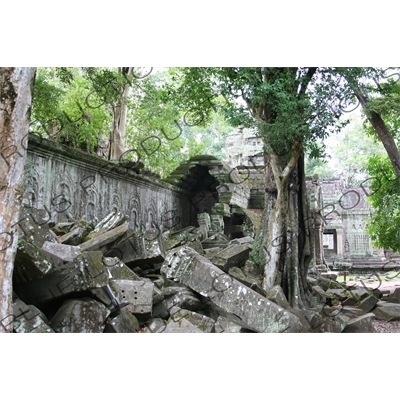 Collapsed Corridor at Ta Prohm in Angkor