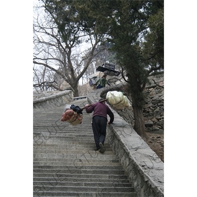 Porters Carrying Loads on Mount Tai (Tai Shan) in Shandong Province