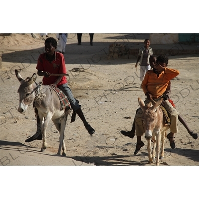 Children Riding Donkeys in Keren