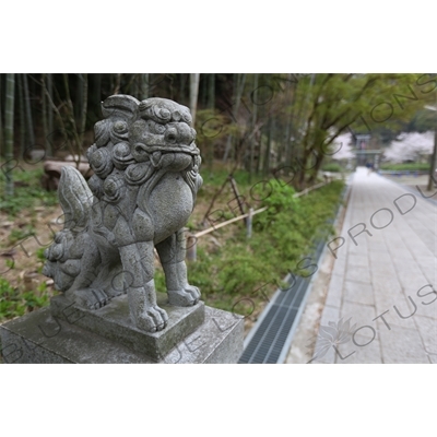 Lion Statue on the way to Hansobo above Kencho-ji in Kamakura