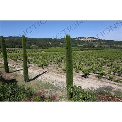 Countryside around Château de Lacoste